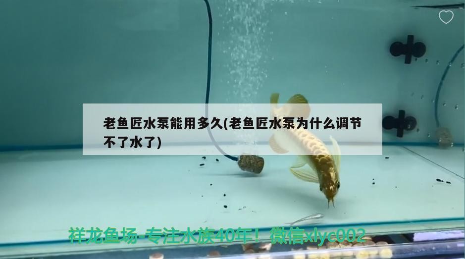 老魚匠水泵能用多久(老魚匠水泵為什么調節不了水了)
