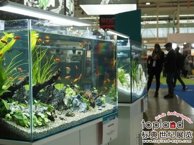 超白魚缸標準尺寸（超白魚缸標準尺寸是多少）