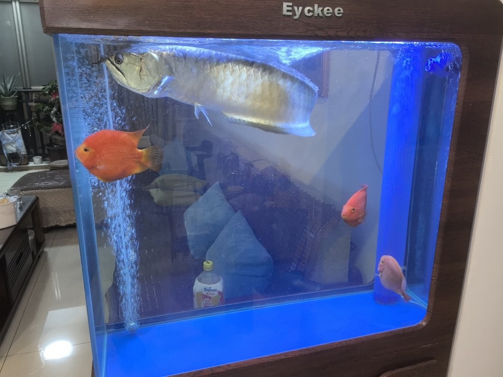 節日快樂！