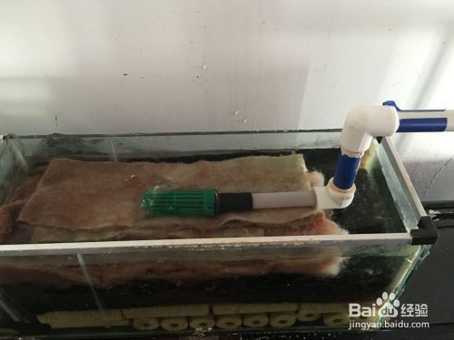 大魚缸漏水了人進不去怎么修補視頻講解圖片（大魚缸漏水了人進不去怎么修補視頻講解圖片大全）