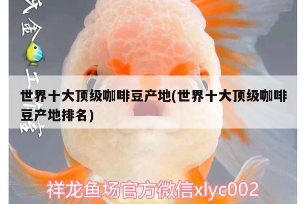 世界十大頂級咖啡豆產地(世界十大頂級咖啡豆產地排名)