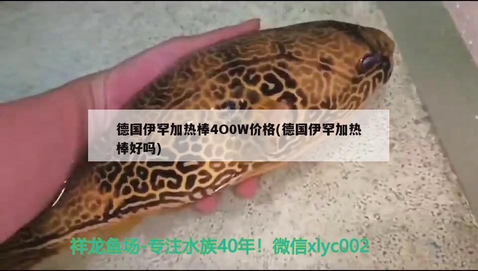 德國伊罕加熱棒4O0W價格(德國伊罕加熱棒好嗎)