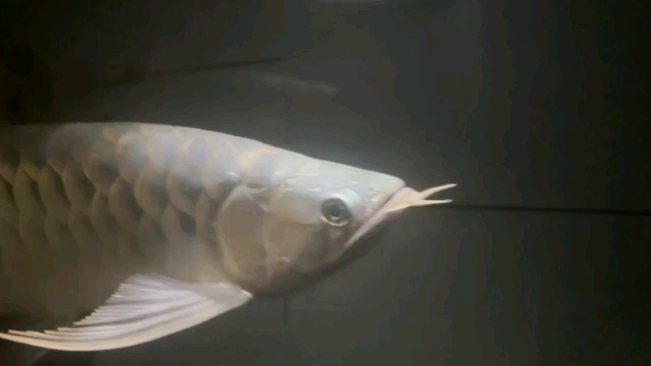 假期快樂(lè)??