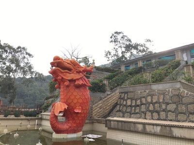 漳州龍魚vs祥龍魚場（探討漳州龍魚與祥龍魚場的差異之前，我們需要明確兩者所指的具體內容）