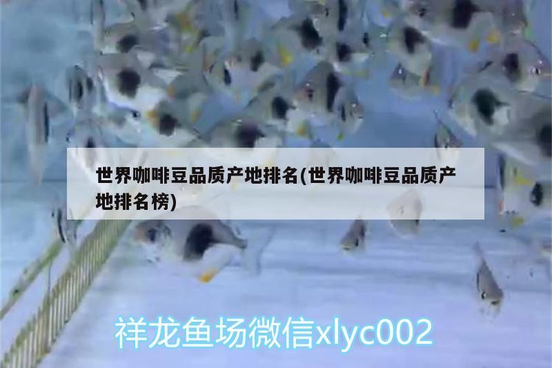 世界咖啡豆品質(zhì)產(chǎn)地排名(世界咖啡豆品質(zhì)產(chǎn)地排名榜)
