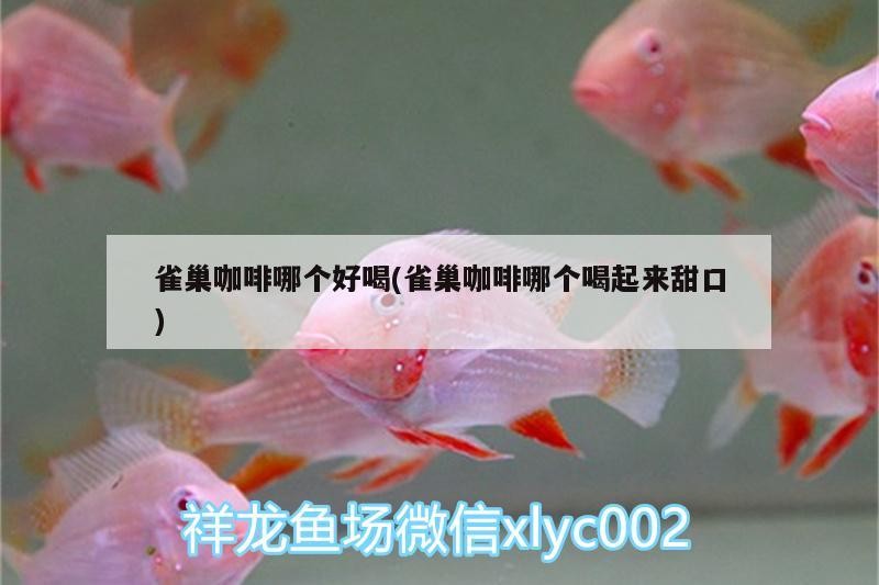 雀巢咖啡哪個好喝(雀巢咖啡哪個喝起來甜口) 雀巢咖啡哪個好喝(雀巢咖啡哪個喝起來甜口) 馬來西亞咖啡