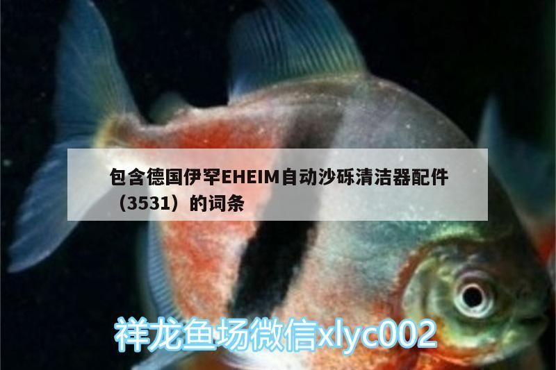 包含德國伊罕EHEIM自動沙礫清潔器配件（3531）的詞條