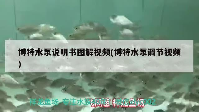 博特水泵說明書圖解視頻(博特水泵調節視頻)