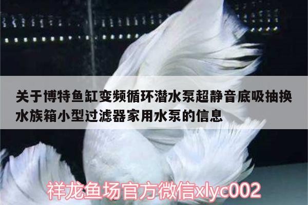 關于博特魚缸變頻循環潛水泵超靜音底吸抽換水族箱小型過濾器家用水泵的信息