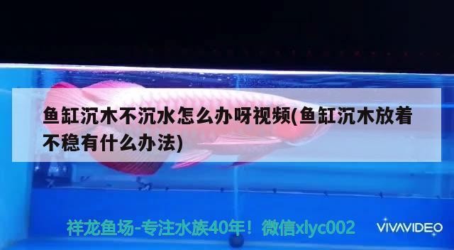 魚缸沉木不沉水怎么辦呀視頻(魚缸沉木放著不穩有什么辦法)