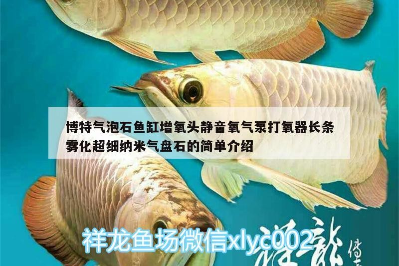 博特氣泡石魚缸增氧頭靜音氧氣泵打氧器長(zhǎng)條霧化超細(xì)納米氣盤石的簡(jiǎn)單介紹