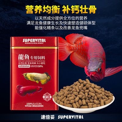 金龍魚飼料增色增紅效果：關(guān)于金龍魚飼料增色增紅效果的詳細分析