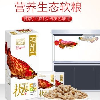 金龍魚飼料增色增紅效果：關(guān)于金龍魚飼料增色增紅效果的詳細分析