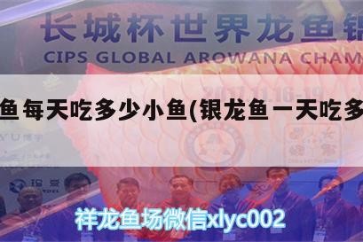 銀龍魚每天吃多少小魚(銀龍魚一天吃多少小魚) 銀龍魚每天吃多少小魚(銀龍魚一天吃多少小魚) 銀龍魚百科