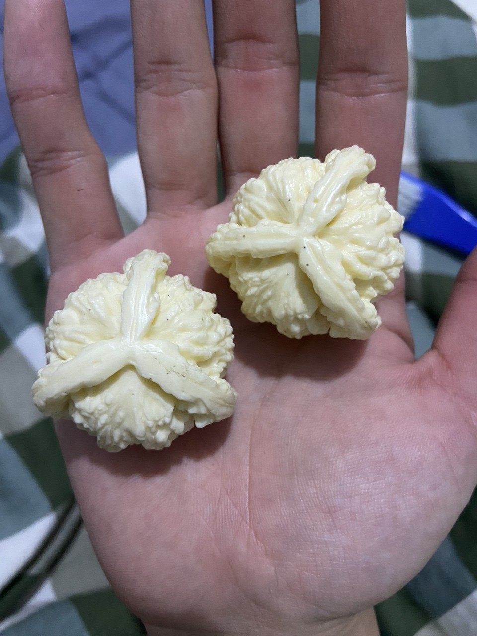 三棱精雕象牙果