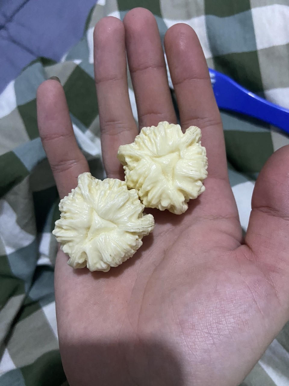 三棱精雕象牙果