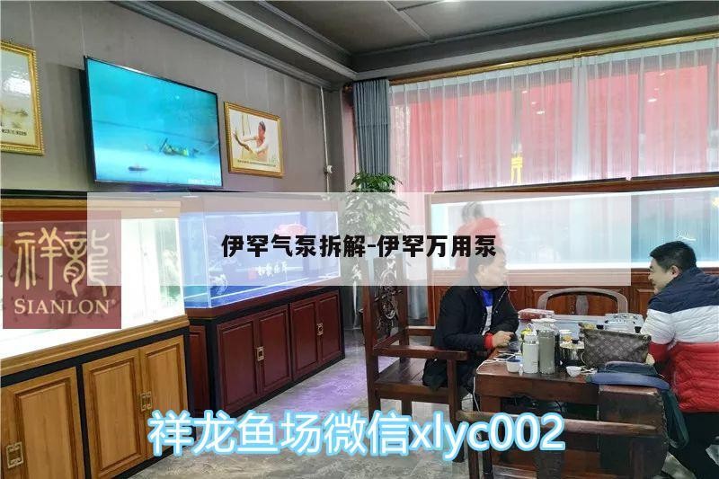 伊罕氣泵拆解:伊罕萬用泵