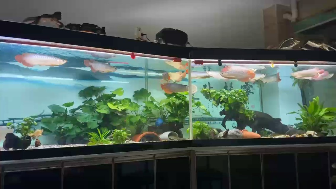 深夜一刻