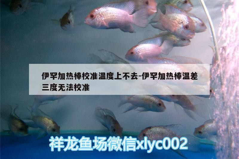 伊罕加熱棒校準溫度上不去:伊罕加熱棒溫差三度無法校準