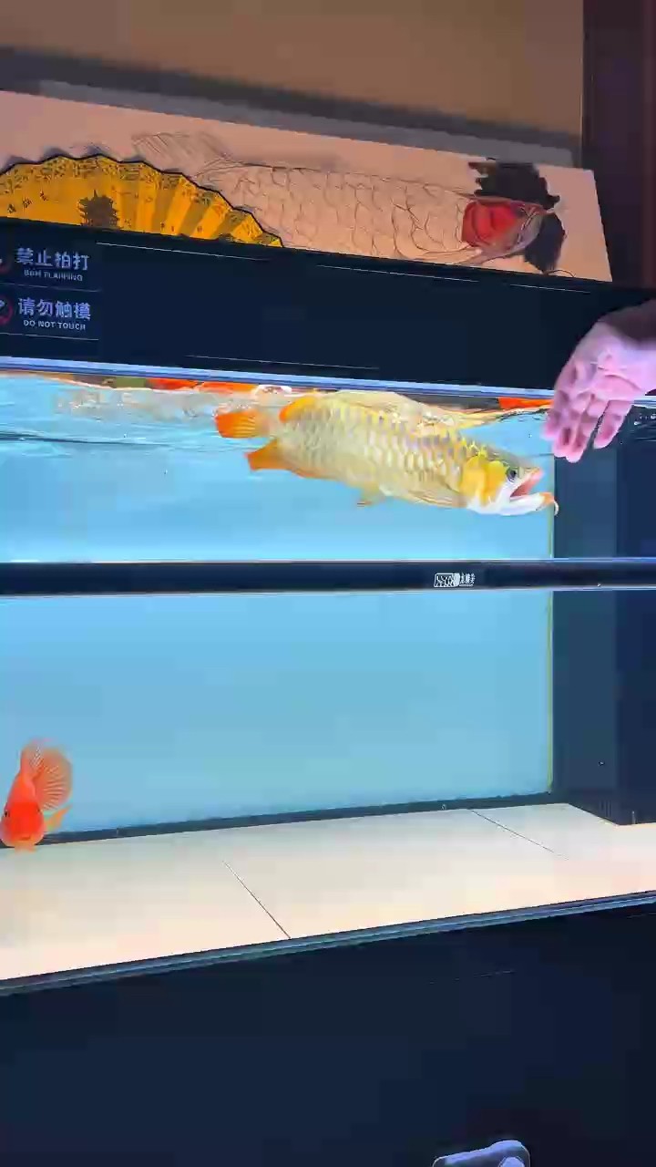 這狀態(tài)炸水怎能不愛？