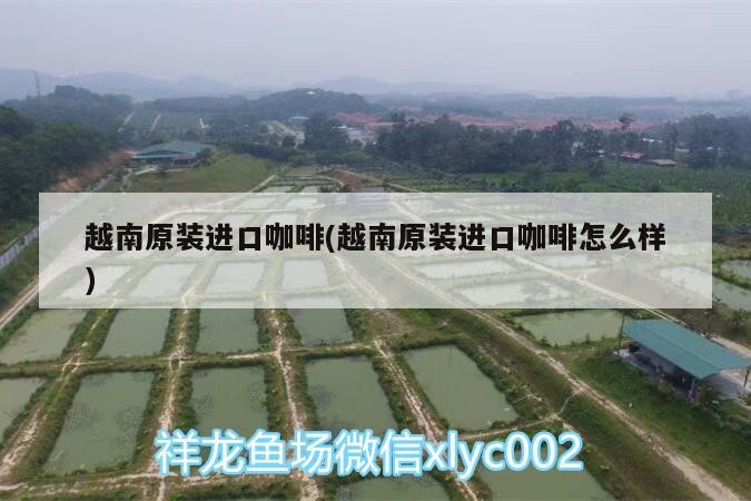 越南原裝進(jìn)口咖啡(越南原裝進(jìn)口咖啡怎么樣)