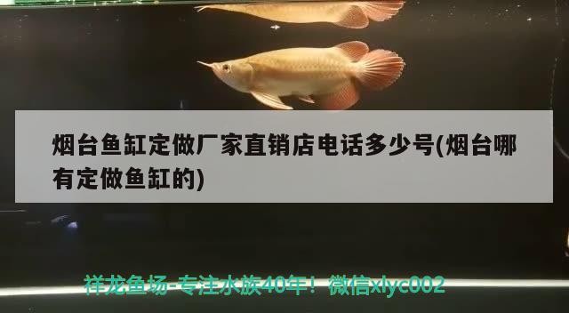 煙臺魚缸定做廠家直銷店電話多少號(煙臺哪有定做魚缸的)