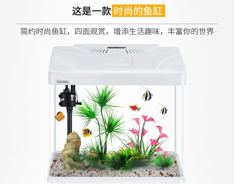 380的魚(yú)缸裝多少水：380的魚(yú)缸裝多少水合適