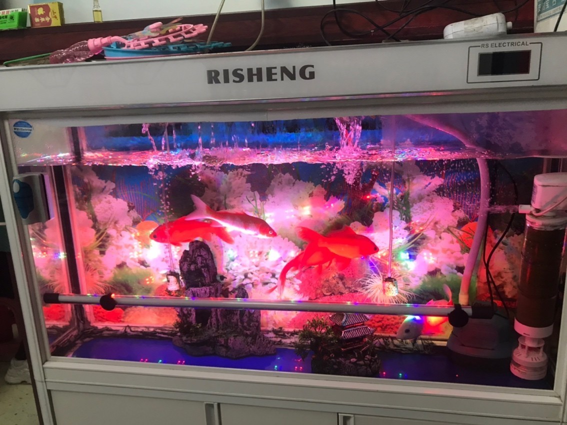 飯店看到的魚缸 大概多少錢啊