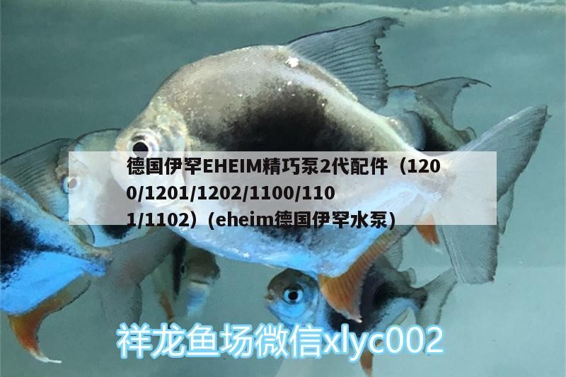 德國伊罕EHEIM精巧泵2代配件（1200/1201/1202/1100/1101/1102）(eheim德國伊罕水泵) 德國伊罕EHEIM精巧泵2代配件（1200/1201/1202/1100/1101/1102）(eheim德國伊罕水泵) 伊罕水族