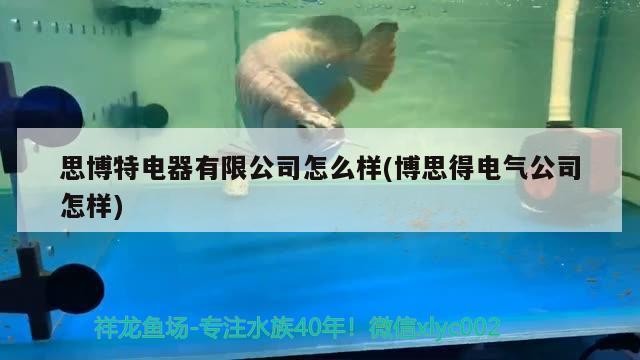 思博特電器有限公司怎么樣(博思得電氣公司怎樣)