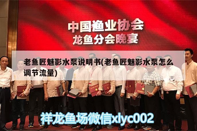 鸚鵡魚和銀龍魚混養怎樣喂食 老魚匠魅影水泵說明書(老魚匠魅影水泵怎么調節流量) 老魚匠 老魚匠魅影水泵說明書(老魚匠魅影水泵怎么調節流量) 老魚匠魅影水泵說明書(老魚匠魅影水泵怎么調節流量) 老魚匠