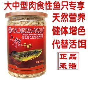 紅金龍魚能吃不 龍魚百科 第2張 紅金龍魚能吃不 紅金龍魚能吃不 龍魚百科 第2張