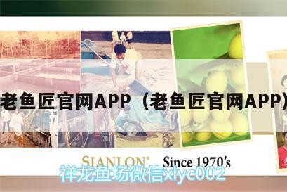 老魚匠官網APP（老魚匠官網APP）