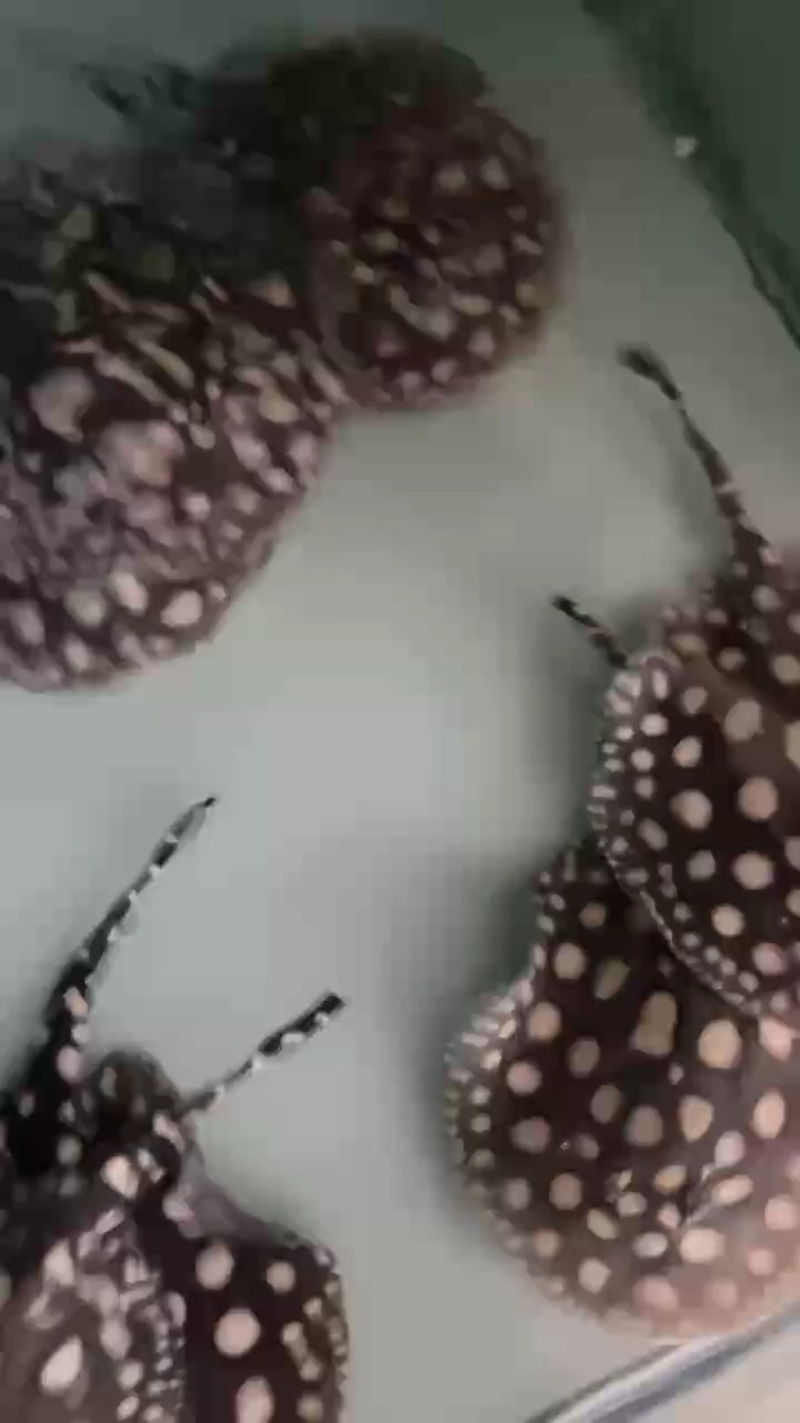 健康至上