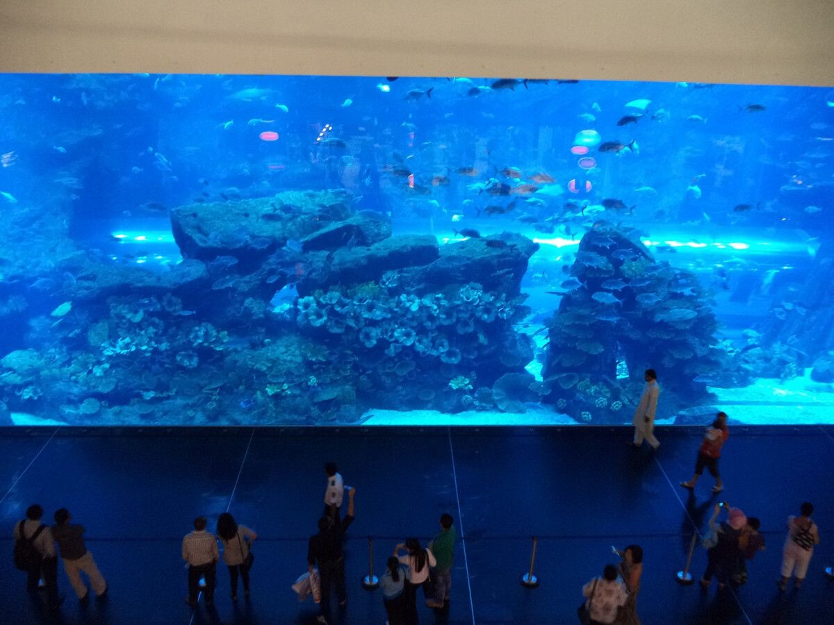 玉溪水族館vs祥龍魚場（玉溪水族館與祥龍魚場之間的差異之前，我們需要明確基本信息和業務范圍）