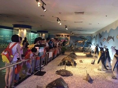 玉溪水族館vs祥龍魚場（玉溪水族館與祥龍魚場之間的差異之前，我們需要明確基本信息和業務范圍）