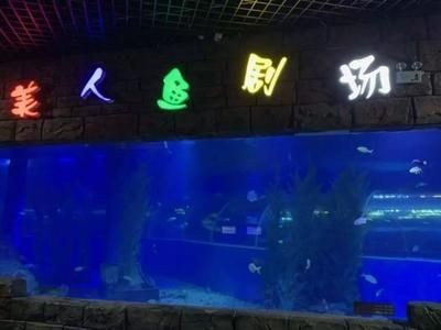 玉溪水族館vs祥龍魚場（玉溪水族館與祥龍魚場之間的差異之前，我們需要明確基本信息和業務范圍）