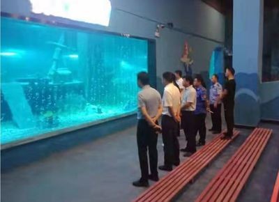 邵陽水族館vs祥龍魚場（邵陽水族館與祥龍魚場的區別）