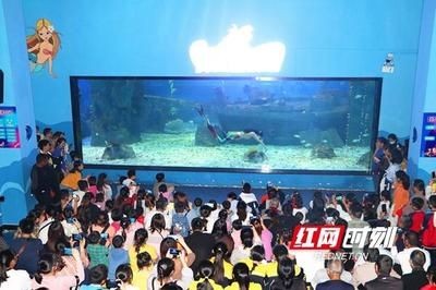 邵陽水族館vs祥龍魚場（邵陽水族館與祥龍魚場的區別）
