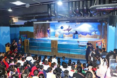邵陽水族館vs祥龍魚場（邵陽水族館與祥龍魚場的區別）