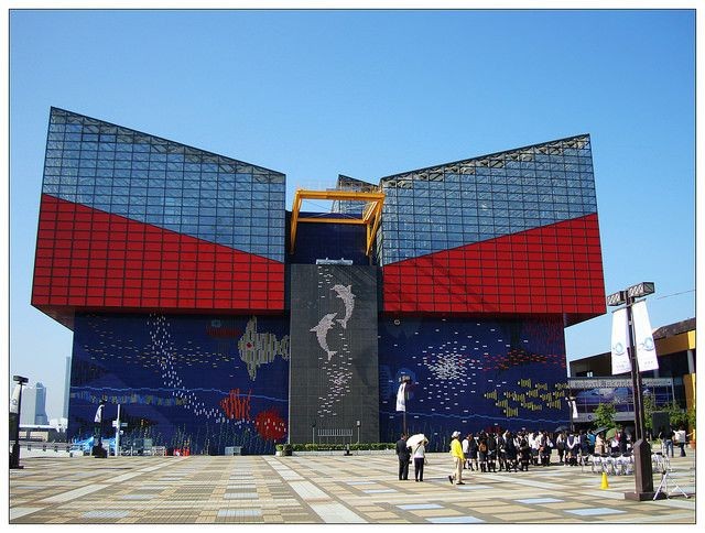 保山水族館vs祥龍魚場（保山水族館和祥龍魚場各有其特點和優(yōu)勢）
