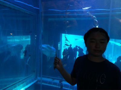 保山水族館vs祥龍魚場（保山水族館和祥龍魚場各有其特點和優(yōu)勢）