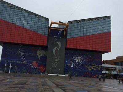 保山水族館vs祥龍魚場（保山水族館和祥龍魚場各有其特點和優(yōu)勢）