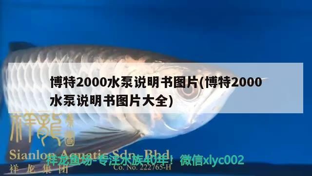 博特2000水泵說明書圖片(博特2000水泵說明書圖片大全)