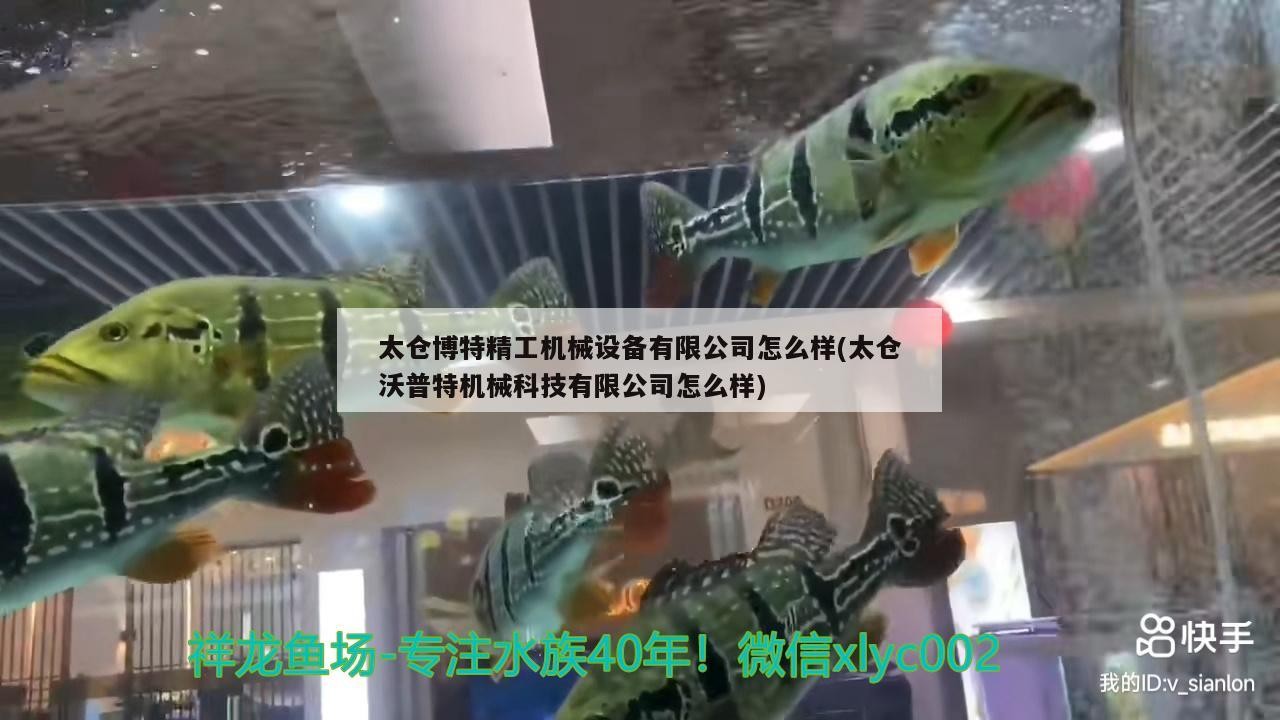 太倉博特精工機械設備有限公司怎么樣(太倉沃普特機械科技有限公司怎么樣)