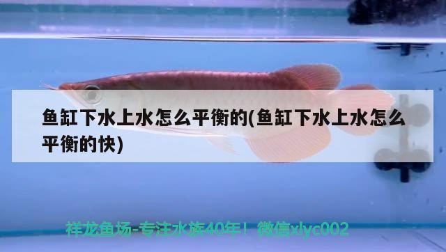 家里養(yǎng)魚養(yǎng)16條最好了：家里養(yǎng)魚養(yǎng)16條最好了嗎