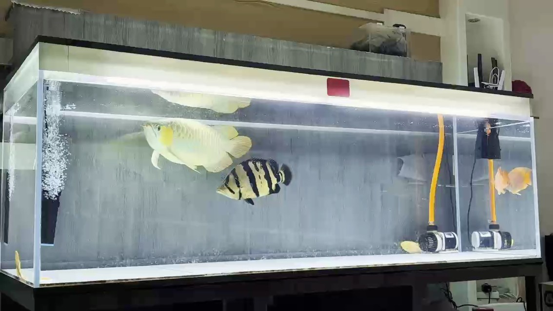 國(guó)慶假期已加載過半