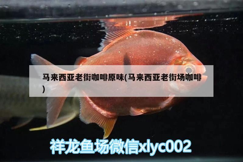 馬來西亞老街咖啡原味(馬來西亞老街場(chǎng)咖啡)