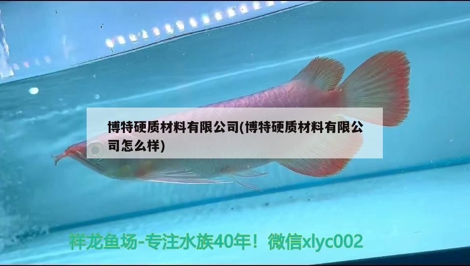 博特硬質材料有限公司(博特硬質材料有限公司怎么樣)