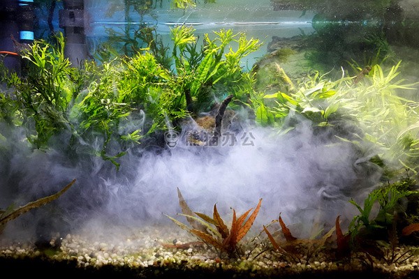 創寧水泵有點嗡嗡聲正常嗎視頻（創寧水泵有點嗡嗡聲正常嗎視頻教程）